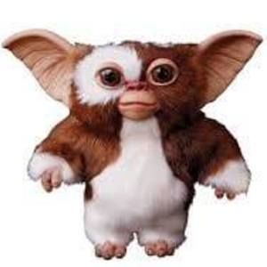 Meet your Posher, Joshua